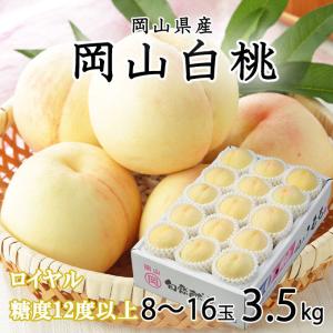 お中元 桃 岡山白桃 ロイヤル 8〜16玉 3.5kg 岡山県産 ＪＡおかやま もも モモ｜hachiya-fruits