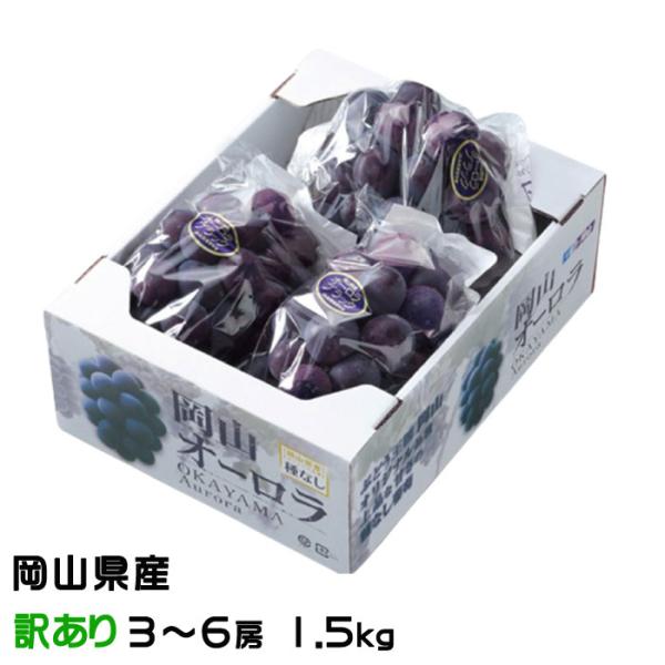 お中元 ぶどう オーロラブラック 風のいたずら ちょっと訳あり 3〜6房 1.5kg 岡山県産 ＪＡ...