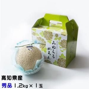 メロン プリンセスニーナ 秀品 1.2Kg×2玉 アールスメロン 高知県産 JA