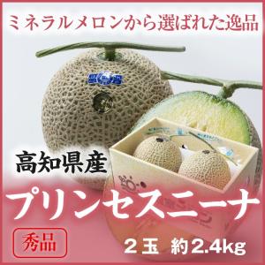 メロン プリンセスニーナ 秀品 1.2Kg×２玉 アールスメロン 高知県産 JA高知県 ギフト