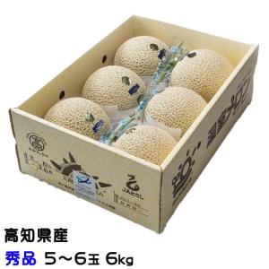 メロン プリンセスニーナ 秀品 6kg ５〜６玉 アールスメロン 高知県産 JA高知県 ギフト