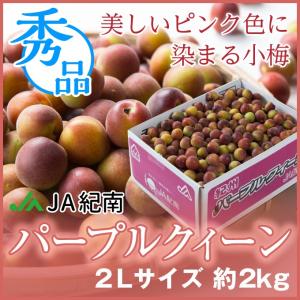 梅 パープルクイーン 秀品 大玉 2Lサイズ 約2kg 和歌山県産 ＪＡ紀南 うめ 小梅