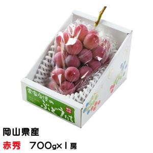 悟紅玉（旧ゴルビー）赤葡萄 約800g〜1kg 2房入り 贈答規格 山梨