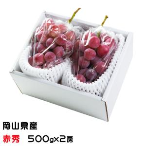 1⃣0️⃣ 山梨県産 種無しゴルビー【悟紅玉】秀品１１房 箱込み5.7キロ 1⃣0️⃣ 山梨県産 種無しゴルビー【悟紅玉】秀品11房 箱込み5.7
