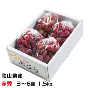 ぶどう クイーンニーナ 赤秀 3〜6房 1.5kg 岡山県産 ＪＡおかやま 葡萄 ブドウ
