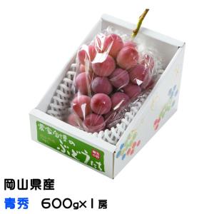 ぶどう クイーンニーナ 青秀 600g×1房 岡山県産 ＪＡおかやま 葡萄 ブドウ