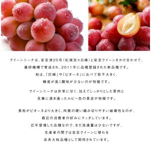 ぶどう クイーンニーナ 青秀 600g×1房 ...の詳細画像3