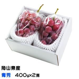 ぶどう クイーンニーナ 青秀 400g×2房 岡山県産 ＪＡおかやま 葡萄 ブドウ