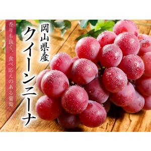 ぶどう クイーンニーナ 青秀 400g×2房 ...の詳細画像1