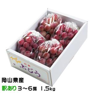 ぶどう クイーンニーナ ちょっと訳あり 3〜6房 1.5kg 岡山県産 ＪＡおかやま 葡萄 ブドウ