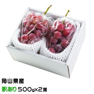 ぶどう クイーンニーナ ちょっと訳あり 500g×2房 岡山県産 ＪＡおかやま 葡萄 ブドウ