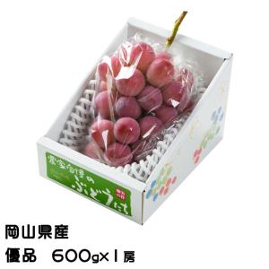 ぶどう クイーンニーナ 優品 600g×1房 岡山県産 ＪＡおかやま 葡萄 ブドウ