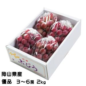 1⃣0️⃣ 山梨県産 種無しゴルビー【悟紅玉】秀品１１房 箱込み5.7キロ 1⃣0️⃣ 山梨県産 種無しゴルビー【悟紅玉】秀品11房 箱込み