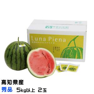 すいか ルナピエナ 秀品 5kg以上×2玉 JA高知県 夜須 スイカ 西瓜｜hachiya-fruits