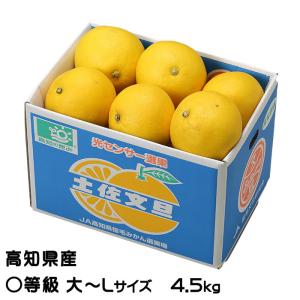高知産　温室大玉水晶文旦　２８～14玉前後　約９,5ｋｇ　北海道沖縄発送不可 温室水晶文旦 約5kg7玉～8玉入: とさのさとアグリコレット|【JA