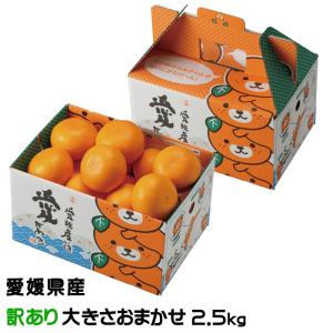 みかん せとか 風のいたずら 訳あり 大きさおまかせ 2.5kg みきゃん箱入り 愛媛県産  ミカン 蜜柑 贈り物