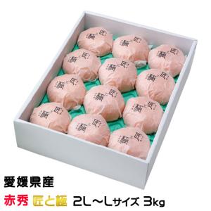せとか 愛媛県産 JAえひめ中央 中島選果場 赤秀 ...