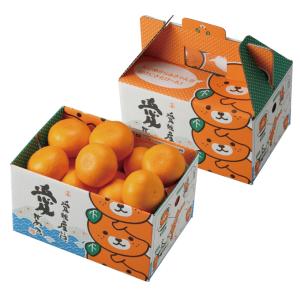 みかん せとか 風のいたずら 訳あり 3L〜Mサイズ 2.5kg お取り寄せグルメ みきゃん箱入り 愛媛県 中島産  ミカン 蜜柑 ギフト 贈り物