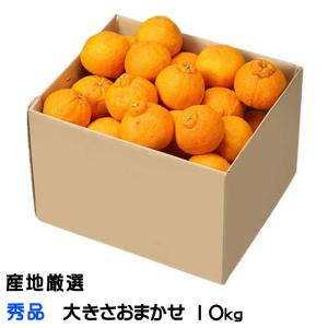 みかん 不知火 しらぬい 秀品 大きさおまかせ 10kg デコポンの品種名 産地厳選 贈り物 ギフト
