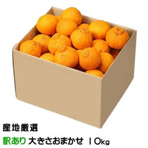 みかん 不知火 しらぬい 風のいたずら ちょっと訳あり 大きさおまかせ 10kg デコポンの品種名 産地厳選 贈り物 ギフト