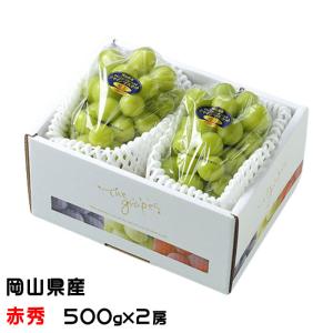 ぶどう シャインマスカット 晴王 赤秀 600g×2房 岡山県産 葡萄 ブドウ