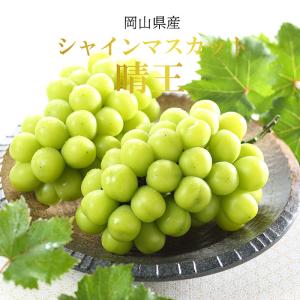 ぶどう シャインマスカット 晴王 赤秀 600...の詳細画像1
