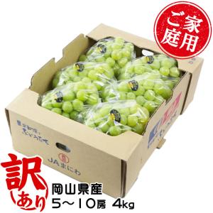 岡山産 ”シャインマスカット「晴王」” 7〜10房 約5kg ぶどう【予約 7月
