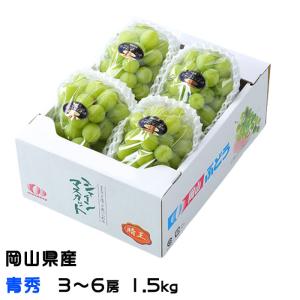 お中元 ぶどう シャインマスカット 晴王 青秀 500g×2房 岡山県産 葡萄