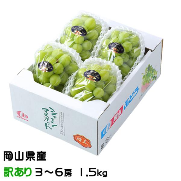 お中元 ぶどう シャインマスカット 晴王 風のいたずら ちょっと訳あり 3〜6房 1.5kg 岡山県...
