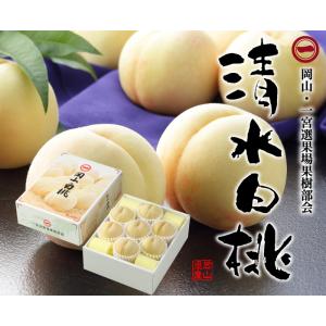 お中元 桃 清水白桃 ロイヤル 4〜8玉 1....の詳細画像1