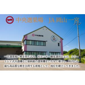 お中元 桃 清水白桃 ロイヤル 4〜8玉 1....の詳細画像4