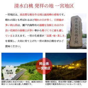 お中元 桃 清水白桃 ロイヤル 5〜10玉 1...の詳細画像3