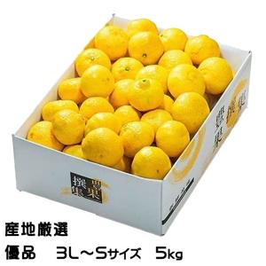 送料無料 長崎県 はるか 日向夏 サイズバラバラ サイズ混合 約 2kg