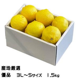 JA蒲郡市 ご自宅用『はるか』愛知県産 L〜2L 約4kg 産地箱 風袋込
