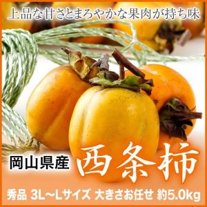 西条柿 渋柿 干し柿用セット 枝付き 説明書 吊るし紐付き 秀品 3L〜Lサイズ 大きさお任せ 約5kg 岡山県産 島根県産