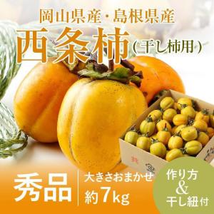 西条柿 渋柿 干し柿用セット 枝付き 説明書 吊るし紐付き 秀品 大きさおまかせ 7kg  岡山県産 島根県産