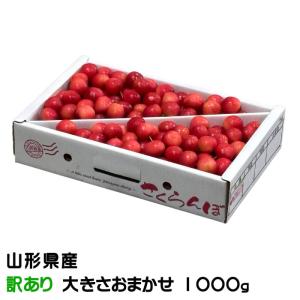 北海道産 落葉キノコ ハナイグチ 塩漬け 瓶詰め 500g : ユタックス
