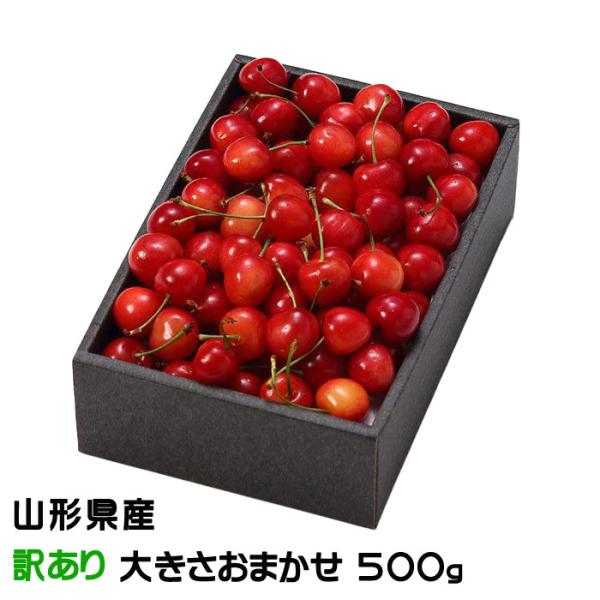 さくらんぼ 風のいたずら ちょっと訳あり 大きさおまかせ 500g 化粧箱 山形県産 ギフト お取り...