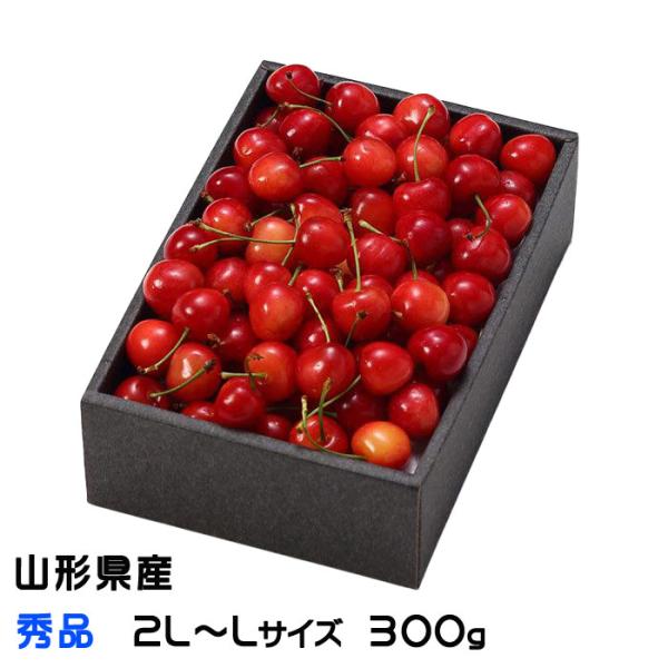 さくらんぼ 秀品 2L〜Lサイズ 300g 化粧箱 山形県産 ギフト お取り寄せグルメ