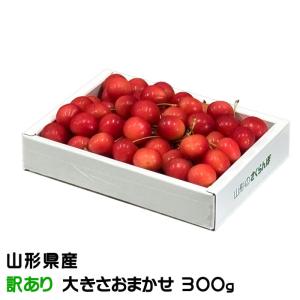お中元 さくらんぼ 風のいたずら ちょっと訳あり 大きさおまかせ 300g 化粧箱 山形県産 ギフト お取り寄せグルメ