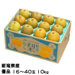 きんかん たまたま 完熟きんかん 風のいたずら ちょっと訳あり 3L〜L