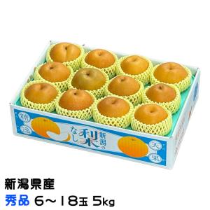 栃木県より産地直送 JAうつのみや 栃木県オリジナル品種 にっこり梨 5