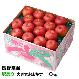 サンふじ 長野産 10kg 中玉 特秀 30-32玉 ギフト : くだもの屋 - 通販
