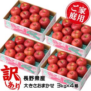 お歳暮 りんご サンふじ 3kg×4箱 風のいた...の商品画像
