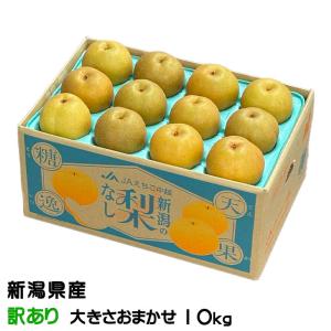 梨 新王 しんおう ちょっと訳あり 大きさおまかせ 10kg 新潟県産 なし ナシ