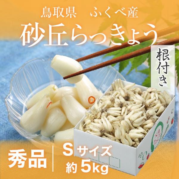 根付き 砂丘らっきょう 秀品 Sサイズ 5kg 鳥取県産 ＪＡ鳥取いなば 福部産 らっきょ  作り方...