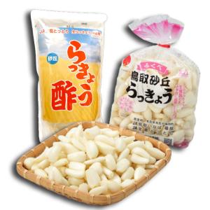 洗い 砂丘らっきょう 秀品 L.M.Sサイズ 大きさおまかせ 1kg + らっきょう酢 650ml セット 鳥取県産 ＪＡ鳥取いなば 福部産 らっきょう｜hachiya-fruits