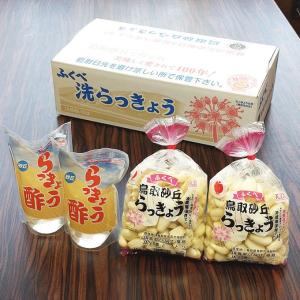 洗い 砂丘らっきょう 秀品 L.M.Sサイズ 大きさおまかせ 2kg + らっきょう酢 650ml ×2 セット 鳥取県産 ＪＡ鳥取いなば 福部産 らっきょう