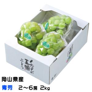 訳あり 瀬戸ジャイアンツ 3~5房 約2kg 家庭用 簡易包装 岡山県産