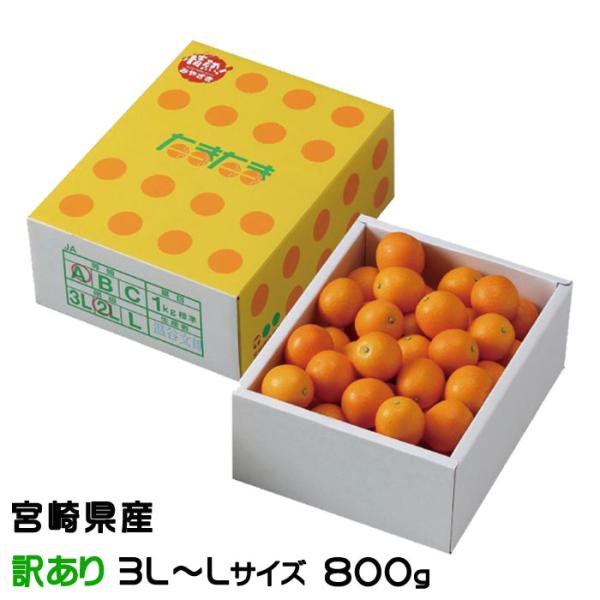 きんかん たまたま 完熟きんかん 風のいたずら ちょっと訳あり 3L〜Lサイズ 800g 宮崎県産 ...